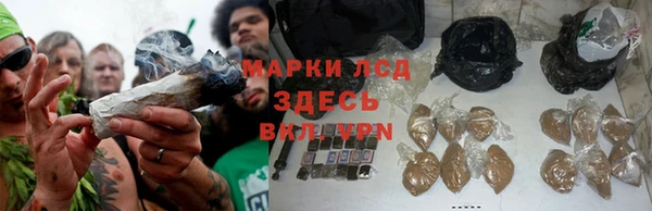 ПСИЛОЦИБИНОВЫЕ ГРИБЫ Верхний Тагил