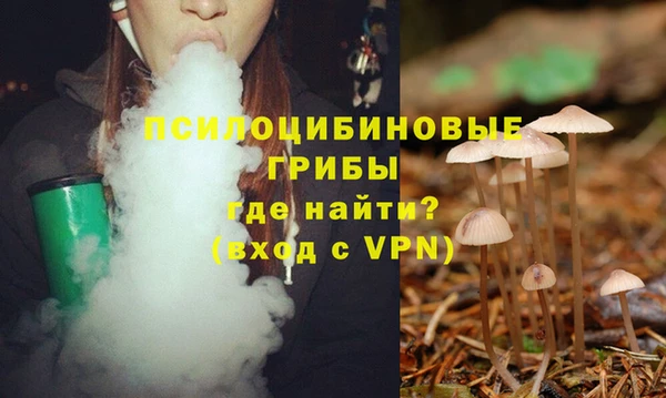 ПСИЛОЦИБИНОВЫЕ ГРИБЫ Верхний Тагил