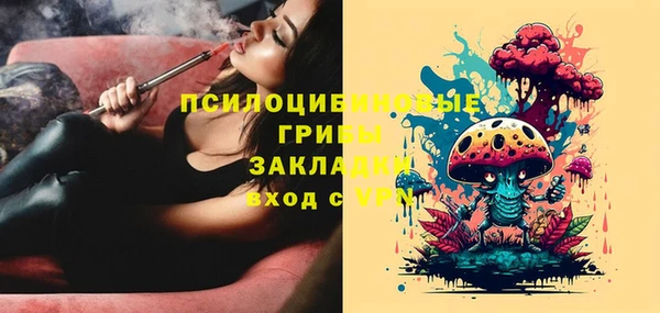 ПСИЛОЦИБИНОВЫЕ ГРИБЫ Верхний Тагил