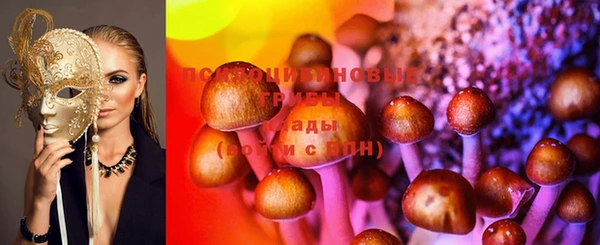 ПСИЛОЦИБИНОВЫЕ ГРИБЫ Верхний Тагил
