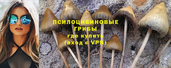 ПСИЛОЦИБИНОВЫЕ ГРИБЫ Верхний Тагил