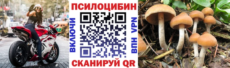 Купить  Липки  Галлюциногенные грибы прущие грибы 